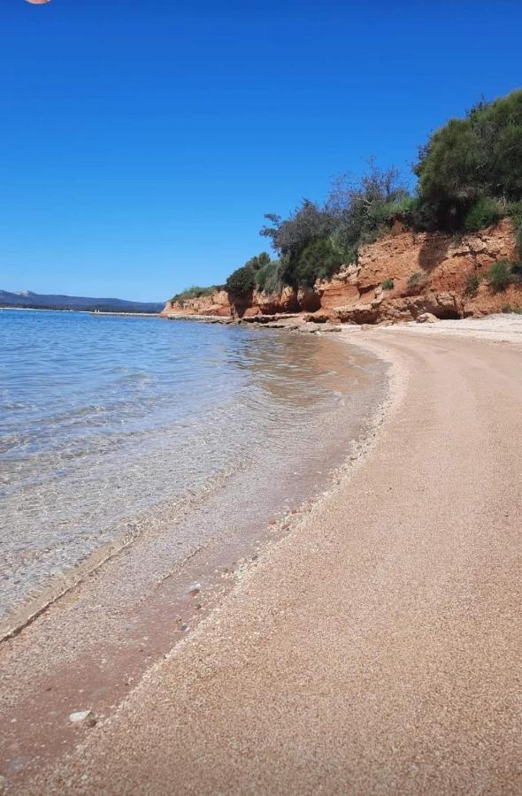 Mobile Homes Kamp Maslina, Biograd Na Moru Eksteriør billede